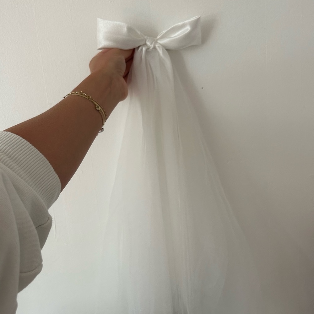 Nasty gal “satin bow mesh veil clip”